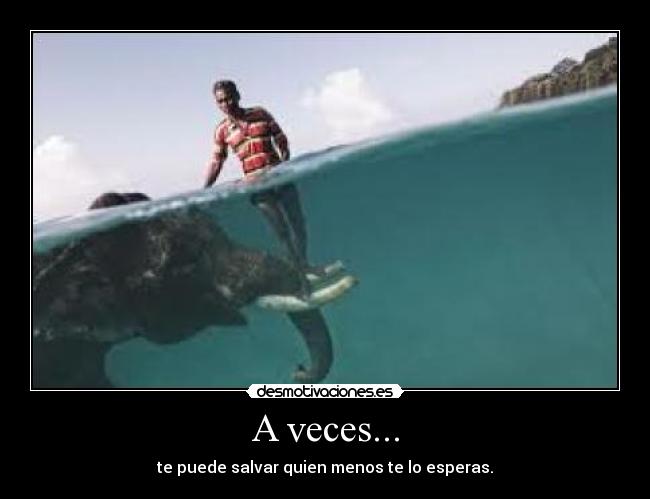 A veces... - te puede salvar quien menos te lo esperas.