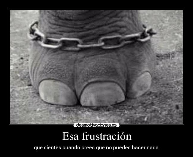 Esa frustración - que sientes cuando crees que no puedes hacer nada.