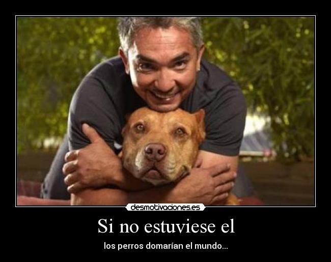 Si no estuviese el - los perros domarían el mundo...