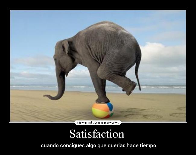 Satisfaction  - 