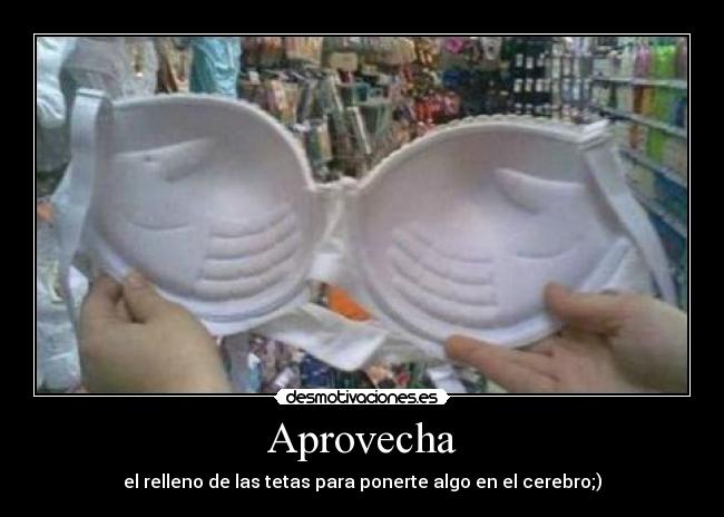 Aprovecha - el relleno de las tetas para ponerte algo en el cerebro;)