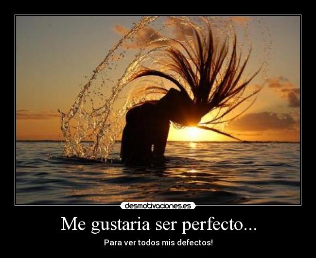 carteles perfect desmotivaciones