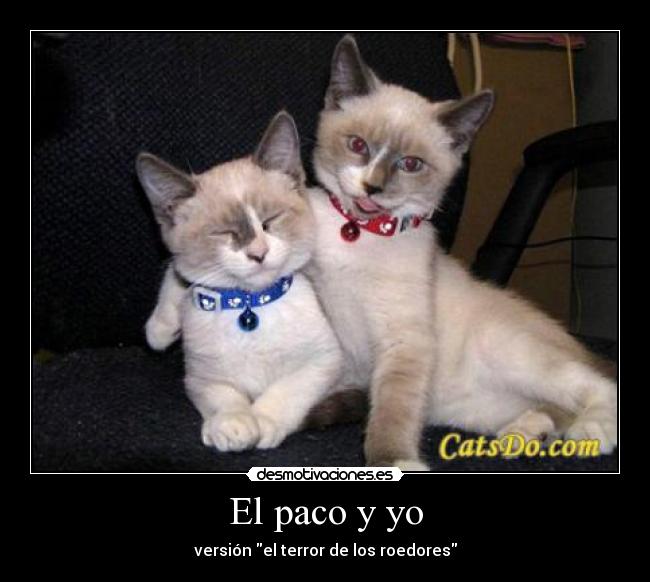 El paco y yo - versión el terror de los roedores