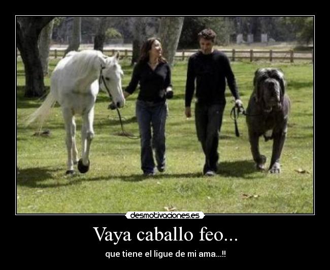 Vaya caballo feo... - que tiene el ligue de mi ama...!!