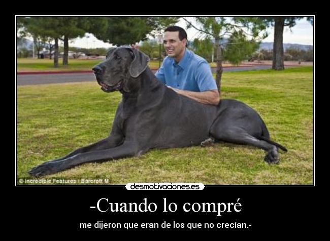 -Cuando lo compré -