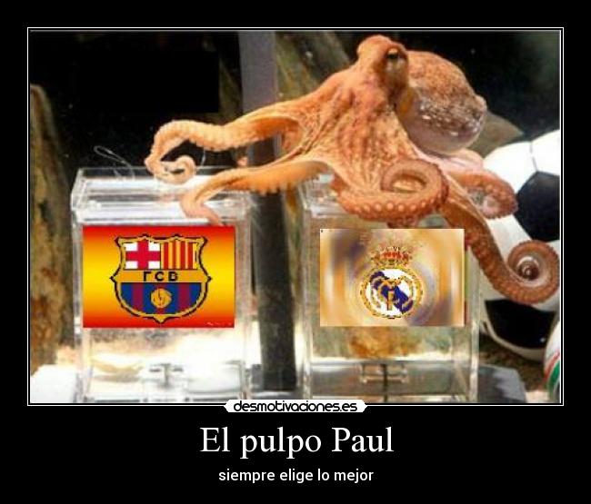 El pulpo Paul - siempre elige lo mejor