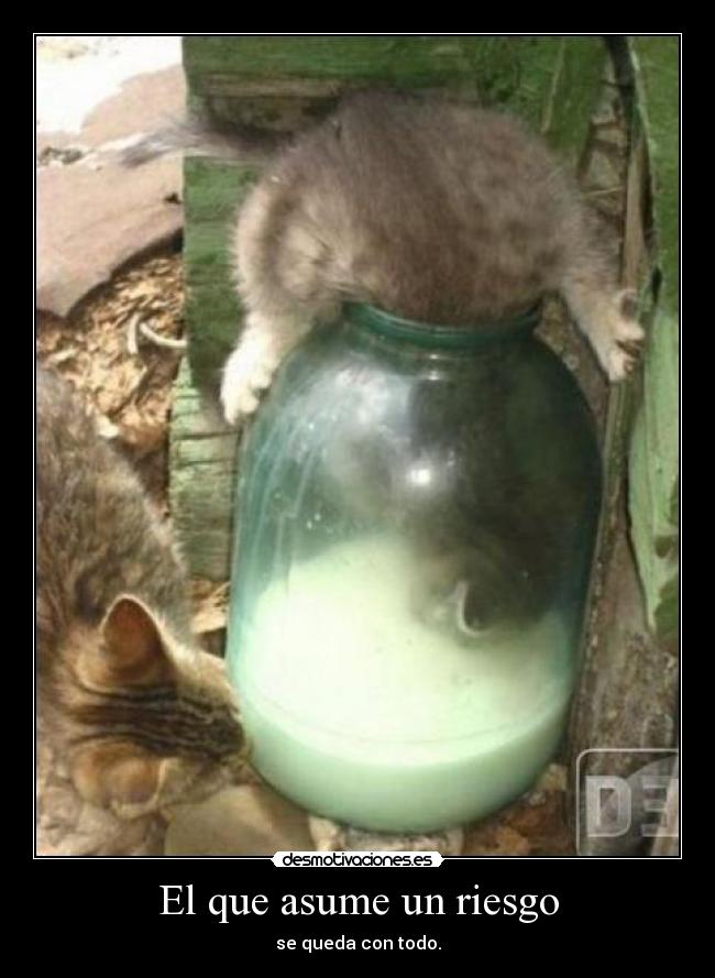 carteles vive vida como fuera ultimo dia desmotivaciones