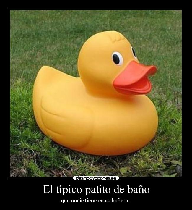 carteles tipico patito bano desmotivaciones