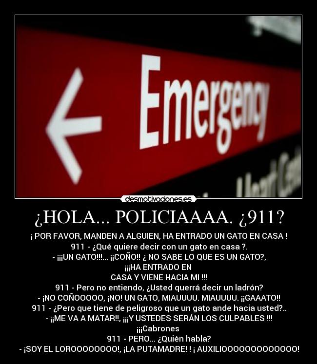 ¿HOLA... POLICIAAAA. ¿911? -