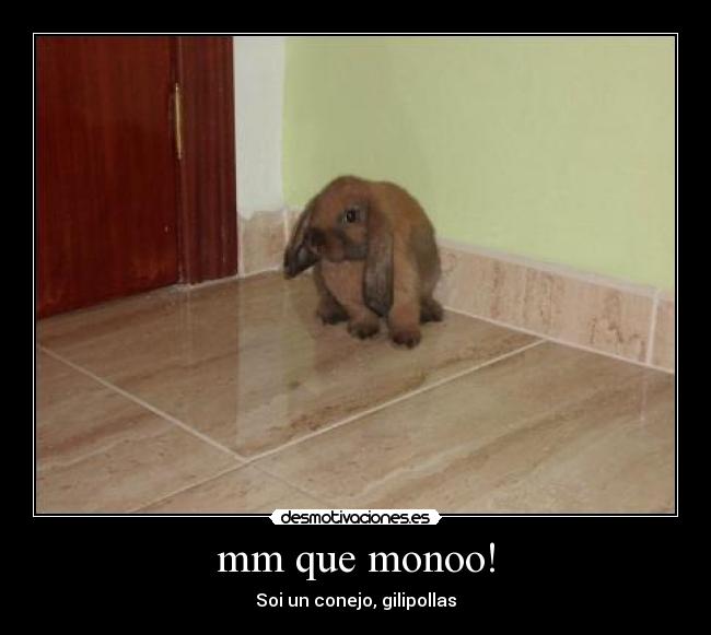 mm que monoo! -