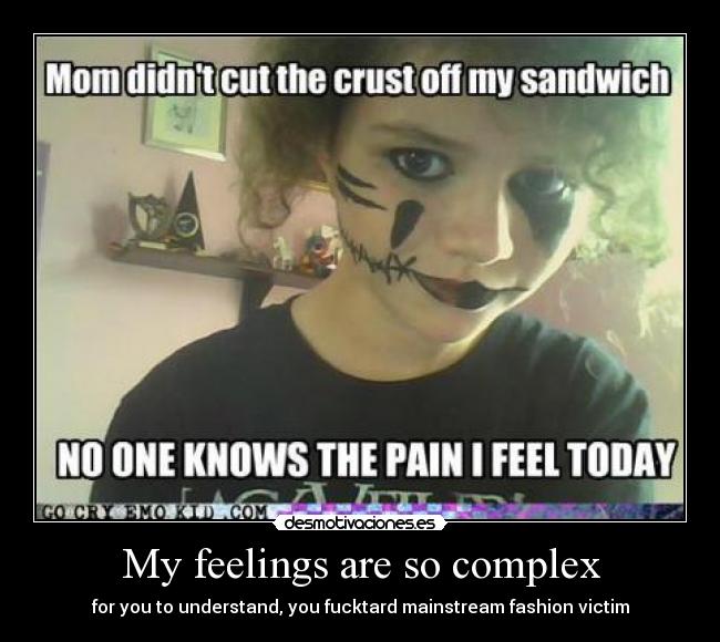 My feelings are so complex - for you to understand, you fucktard mainstream fashion victim