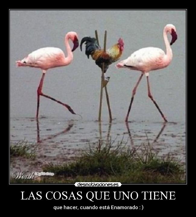 carteles jejejeeeee desmotivaciones