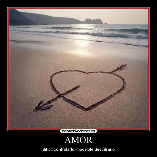 AMOR - 