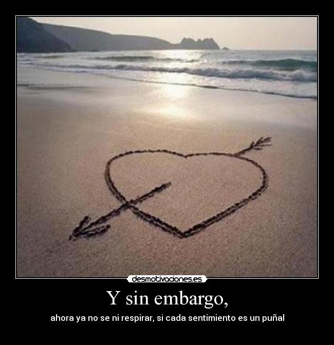 Y sin embargo, - ahora ya no se ni respirar, si cada sentimiento es un puñal
♥