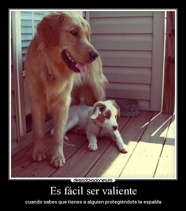 Es fácil ser valiente - cuando sabes que tienes a alguien protegiéndote la espalda