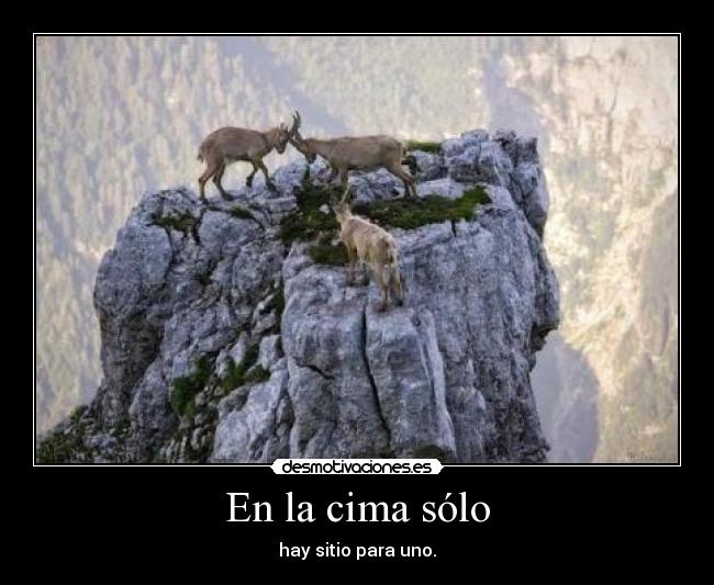 En la cima sólo - hay sitio para uno.