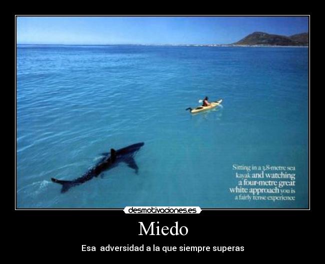 Miedo -