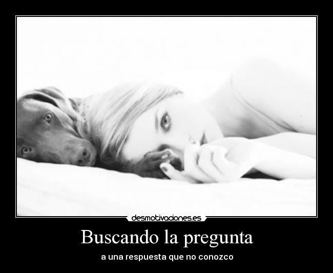 Buscando la pregunta -