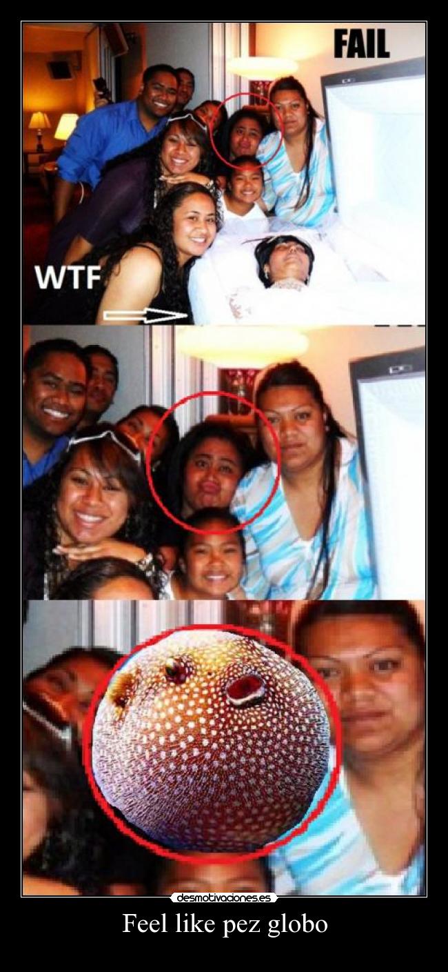 Feel like pez globo - 