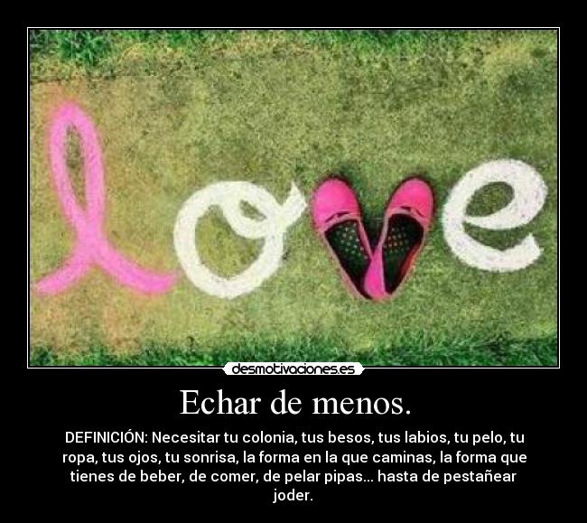 Echar de menos. - DEFINICIÓN: Necesitar tu colonia, tus besos, tus labios, tu pelo, tu
ropa, tus ojos, tu sonrisa, la forma en la que caminas, la forma que
tienes de beber, de comer, de pelar pipas... hasta de pestañear
joder.