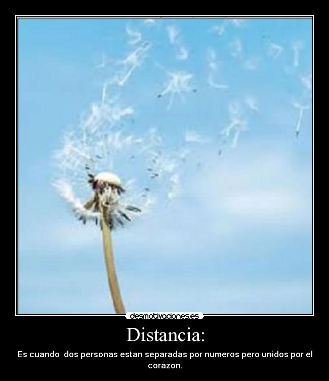 carteles distancia distanciaamor desmotivaciones