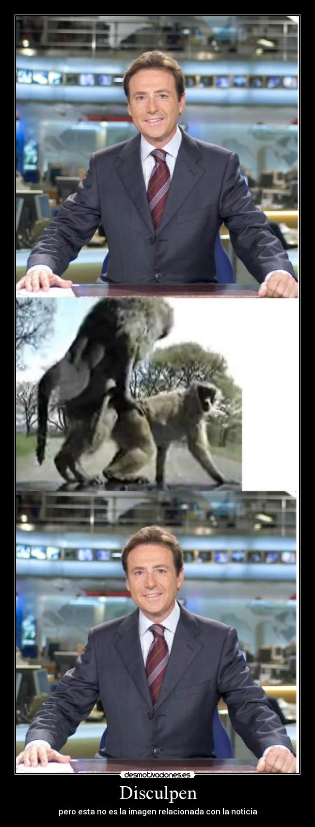 Disculpen - pero esta no es la imagen relacionada con la noticia