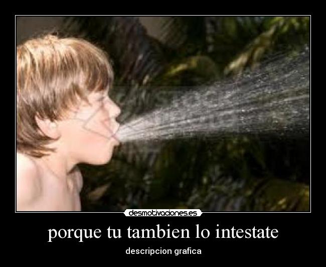 porque tu tambien lo intestate - descripcion grafica