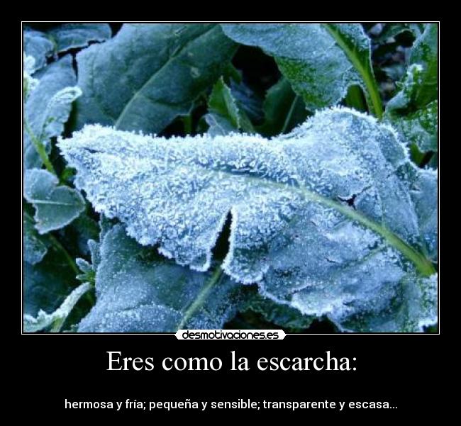 Eres como la escarcha: - 