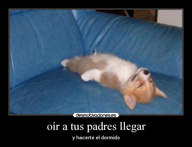 oír a tus padres llegar - y hacerte el dormido