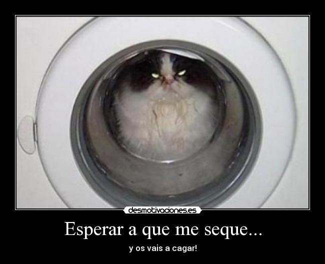 Esperar a que me seque... - 