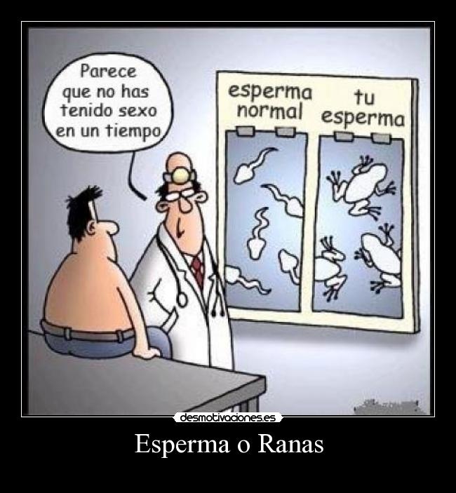 Esperma o Ranas - 