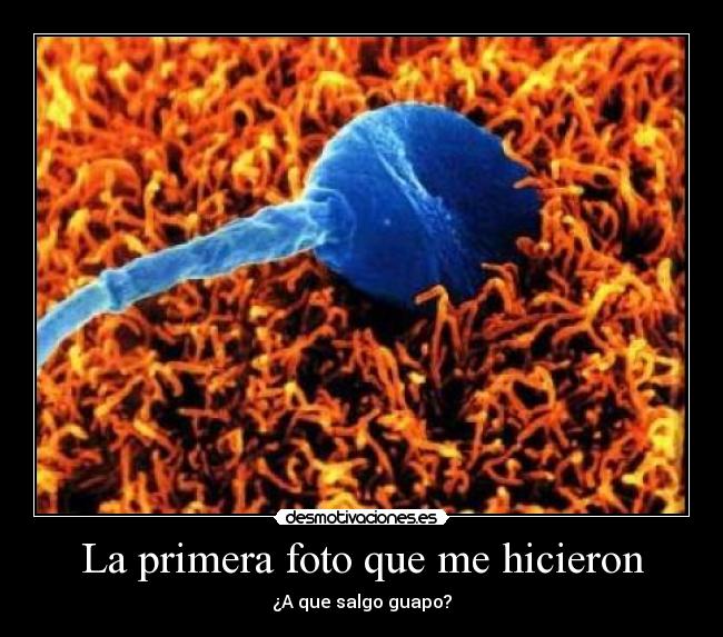 La primera foto que me hicieron - ¿A que salgo guapo?