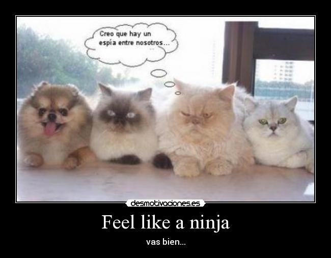 Feel like a ninja - vas bien...
