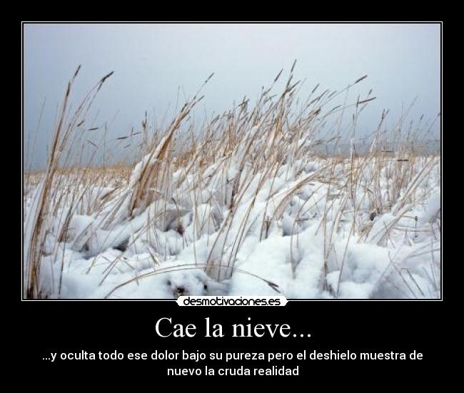 Cae la nieve... - ...y oculta todo ese dolor bajo su pureza pero el deshielo muestra de
nuevo la cruda realidad