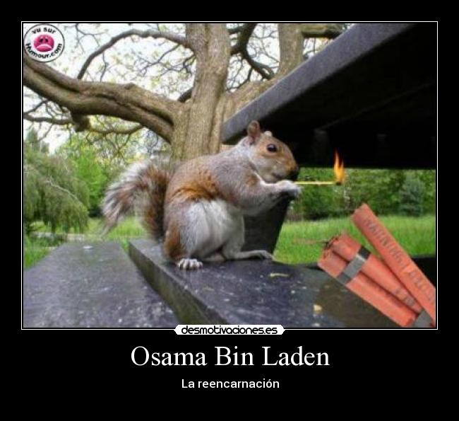 Osama Bin Laden - 