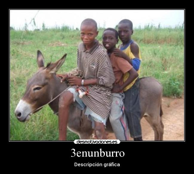 3enunburro - Descripción gráfica