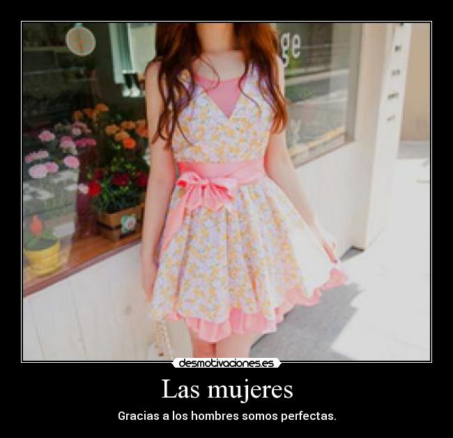 Las mujeres - Gracias a los hombres somos perfectas.