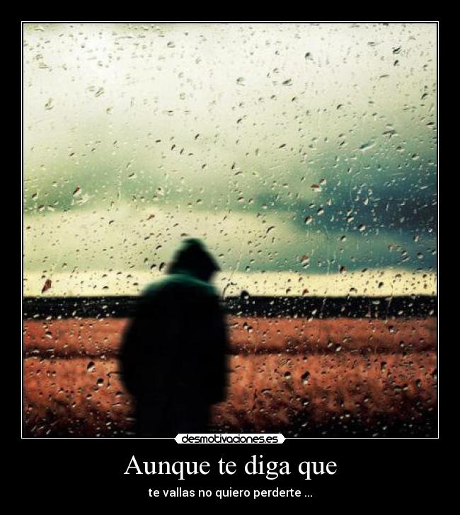 Aunque te diga que - te vallas no quiero perderte ...