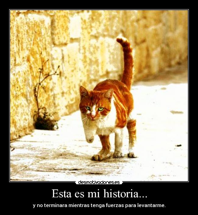 carteles historia seguir adelante desmotivaciones