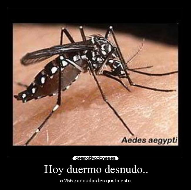 Hoy duermo desnudo.. - a 256 zancudos les gusta esto.