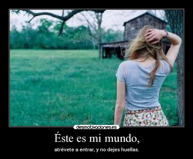 carteles mundo 61215 desmotivaciones