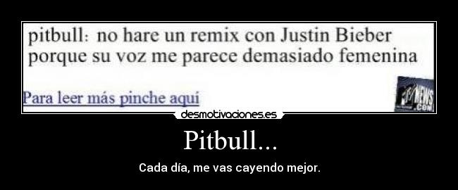 Pitbull... -