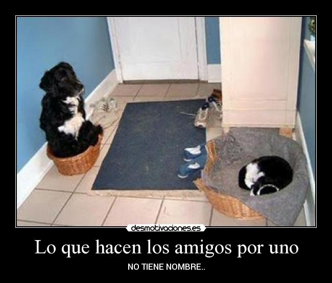 Lo que hacen los amigos por uno -
