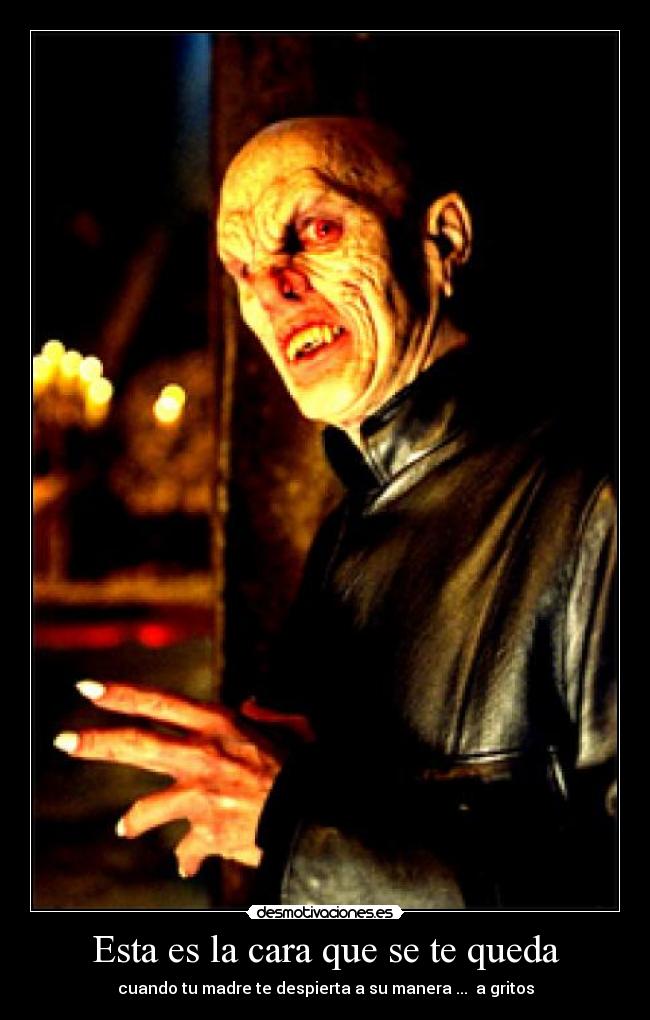 Esta es la cara que se te queda - cuando tu madre te despierta a su manera ... a gritos