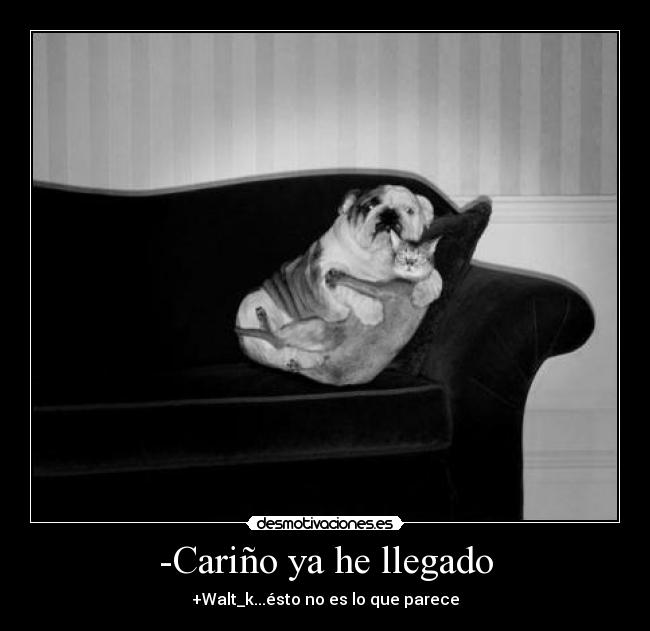 -Cariño ya he llegado -