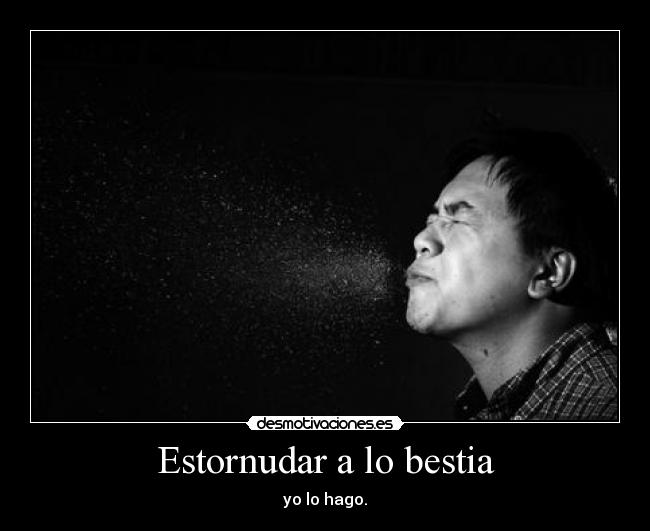 Estornudar a lo bestia -