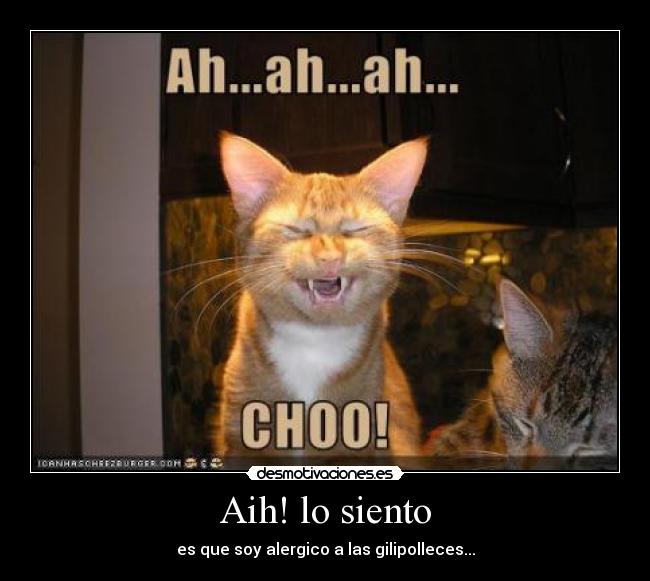 Aih! lo siento -