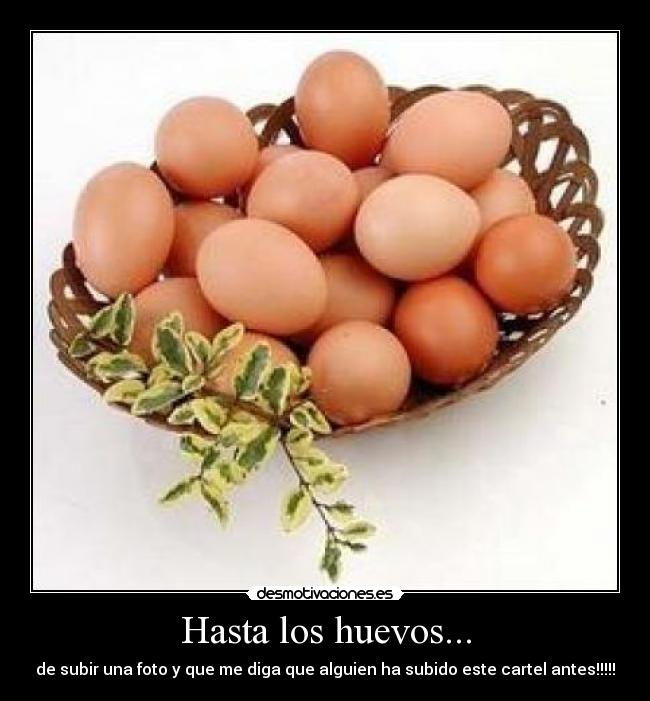 Hasta los huevos... - de subir una foto y que me diga que alguien ha subido este cartel antes!!!!!
