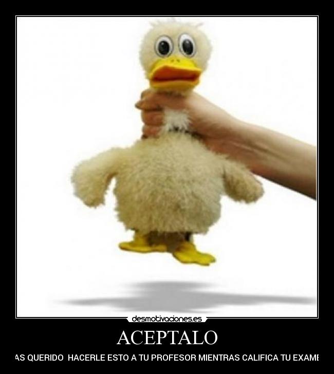 ACEPTALO - HAS QUERIDO HACERLE ESTO A TU PROFESOR MIENTRAS CALIFICA TU EXAMEN