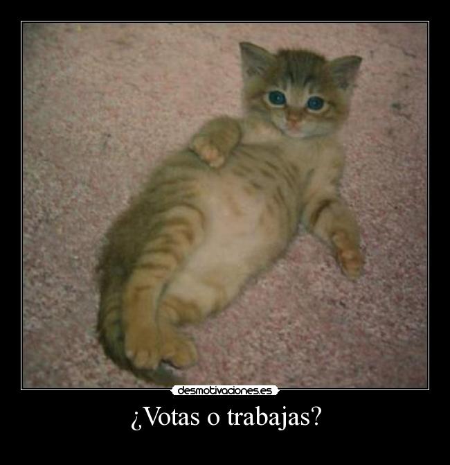 ¿Votas o trabajas? - 